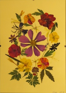 Tablou vanzare Flori presate cu lipici
