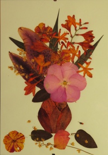 Tablou vanzare Flori presate cu lipici